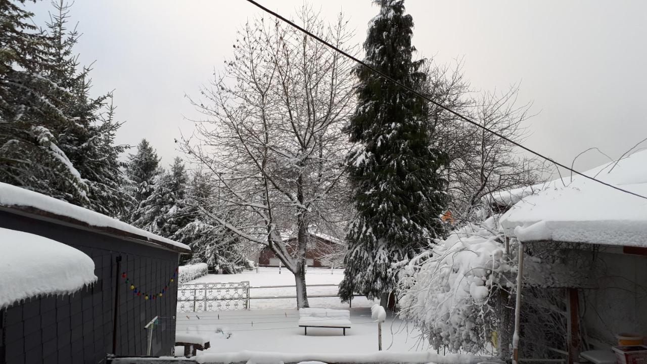 Ferienwohnungen! Kleine Bungalows Mit Terrasse! Stockhausen-Illfurth 外观 照片