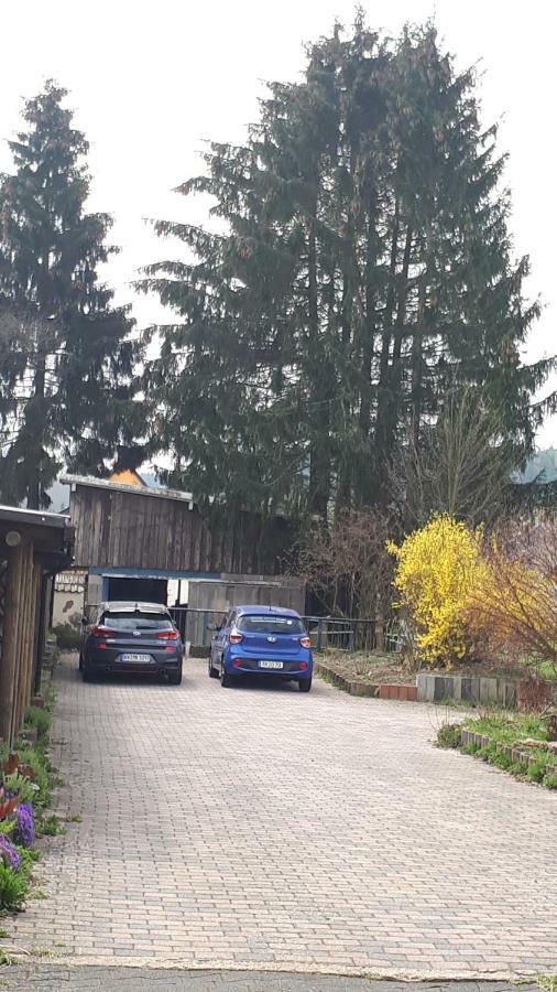 Ferienwohnungen! Kleine Bungalows Mit Terrasse! Stockhausen-Illfurth 外观 照片